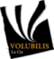 volubilis compagnie des spectacles vivants